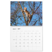 Calendrier Escalade arborescente Kitties Cat & Kittens in Tre (Mar 2027)