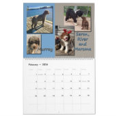 Calendrier espagnol des chiens d'eau 2020 (Feb 2026)