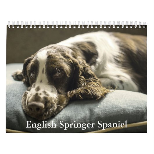 Calendrier espagnol Springer anglais (Protection)