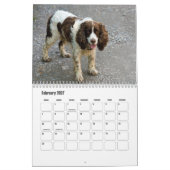 Calendrier espagnol Springer anglais (Feb 2027)