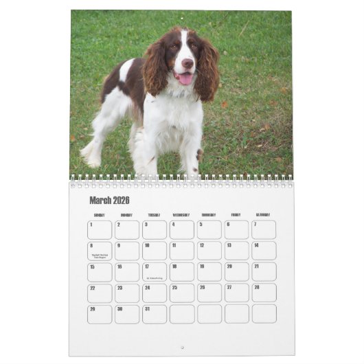 Calendrier espagnol Springer anglais (Mar 2026)