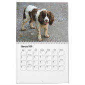 Calendrier espagnol Springer anglais (Feb 2026)