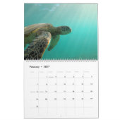Calendrier Espèce marine (Feb 2027)
