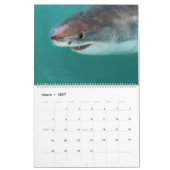 Calendrier Espèce marine (Mar 2027)