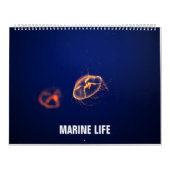 Calendrier Espèce marine (Protection)