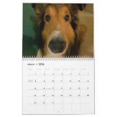 Calendrier Étagère ridicule (Mar 2026)