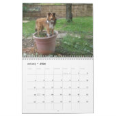 Calendrier Étagère ridicule (Jan 2026)