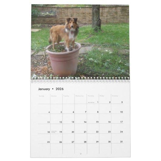 Calendrier Étagère ridicule (Jan 2026)