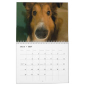 Calendrier Étagère ridicule (Mar 2027)