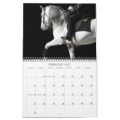Calendrier Étalons de Lipizzaner (Feb 2027)
