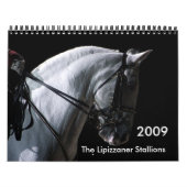 Calendrier Étalons de Lipizzaner (Protection)