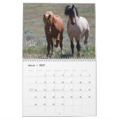 Calendrier "Étalons" Mustang Sauvage 2026 (Mar 2027)