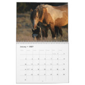 Calendrier "Étalons" Mustang Sauvage 2026 (Jan 2027)