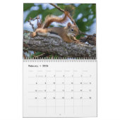 Calendrier Été de banlieue (Feb 2026)