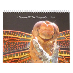 Calendrier Été du ~ 2014 de libellule
