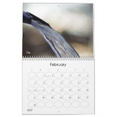 Calendrier étonnant eau 2025 (Feb 2027)