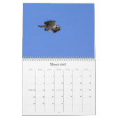 Calendrier Étude du Seahawk (Mar 2027)