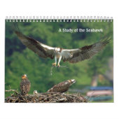 Calendrier Étude du Seahawk (Protection)