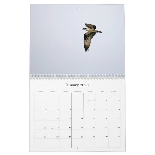 Calendrier Étude du Seahawk (Jan 2026)