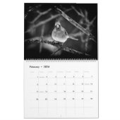 Calendrier ~ Études en noir et blanc (Feb 2026)