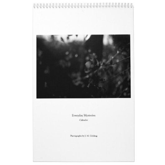 Calendrier Everyday Mysteries Calendar (Protection)