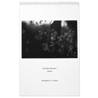Calendrier Everyday Mysteries Calendar