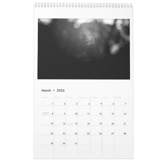 Calendrier Everyday Mysteries Calendar (Mar 2026)