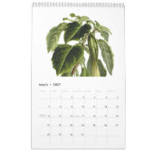 Calendrier Exotics 2015 (Mar 2027)