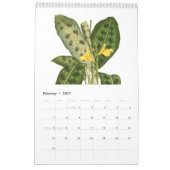 Calendrier Exotics 2015 (Feb 2027)