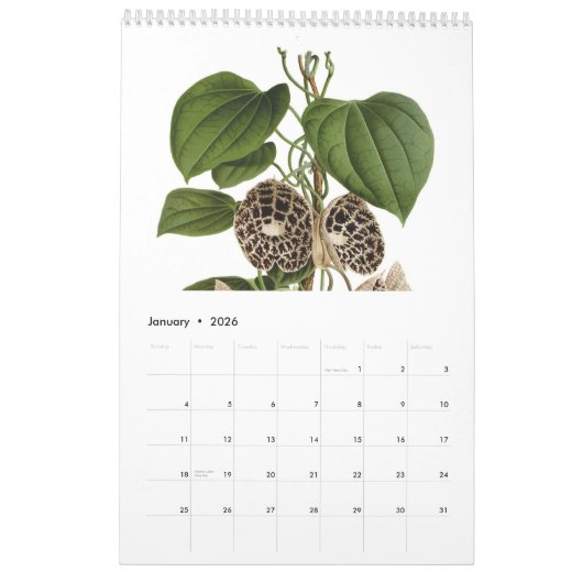 Calendrier Exotics 2015 (Jan 2026)