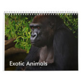 Calendrier exotique d'animaux (Protection)