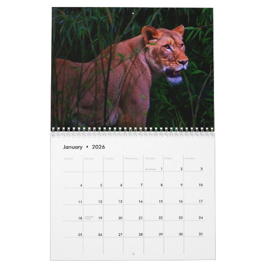 Calendrier exotique d'animaux (Jan 2026)