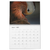 Calendrier exotique d'animaux (Mar 2027)