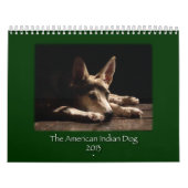 Calendrier EXPIRÉ de 2013 AIDES (Protection)