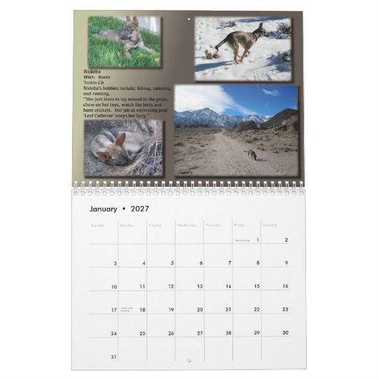 Calendrier EXPIRÉ de 2013 AIDES (Jan 2027)