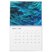 Calendrier Exploration de la plongée sous-marine Coral reef (Feb 2026)
