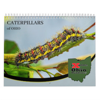 Calendrier Explorez les chenilles extérieures de l'Ohio