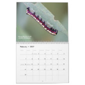 Calendrier Explorez les chenilles extérieures de l'Ohio (Feb 2027)