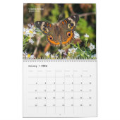 Calendrier Explorez Ohio Outdoors Papillons de l'Ohio Calendr (Jan 2026)