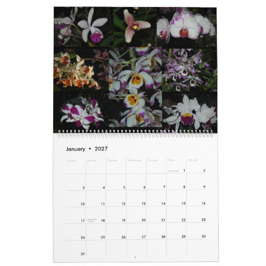 Calendrier Expo Pacifique d'orchidée (Jan 2027)