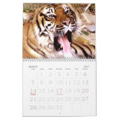 Calendrier Expression_2010 de Tiger & Lion (Mar 2027)