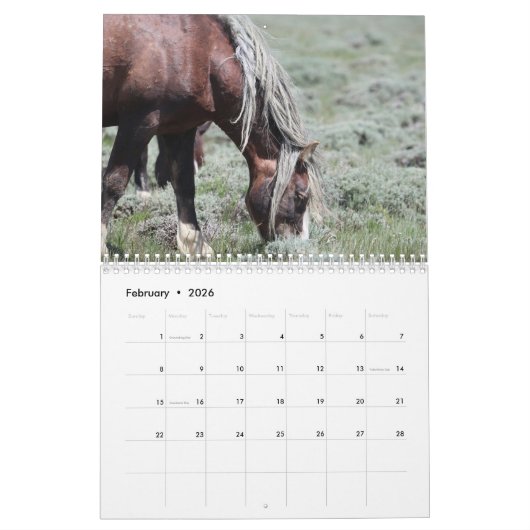 Calendrier Fabio A Wild Wyoming Stallion (Feb 2026)