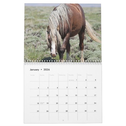 Calendrier Fabio A Wild Wyoming Stallion (Jan 2026)
