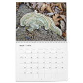 Calendrier - Fabuleux Champignons De La Forêt (Mar 2026)