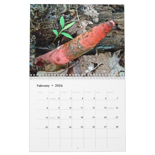 Calendrier - Fabuleux Champignons De La Forêt (Feb 2026)