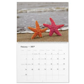 Calendrier Fabuleux Starfish (Feb 2027)
