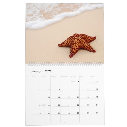 Calendrier Fabuleux Starfish (Jan 2026)