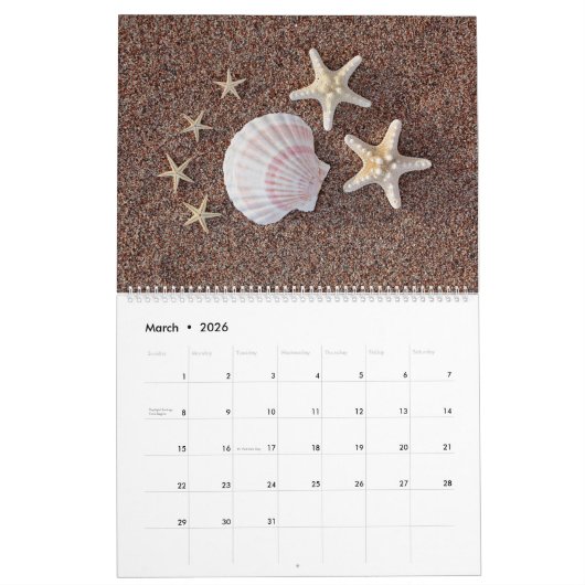 Calendrier Fabuleux Starfish (Mar 2026)