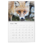 Calendrier Fabulous Foxes 2026 (Jan 2026)
