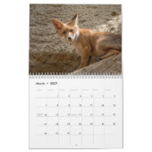 Calendrier Fabulous Foxes 2026 (Mar 2027)